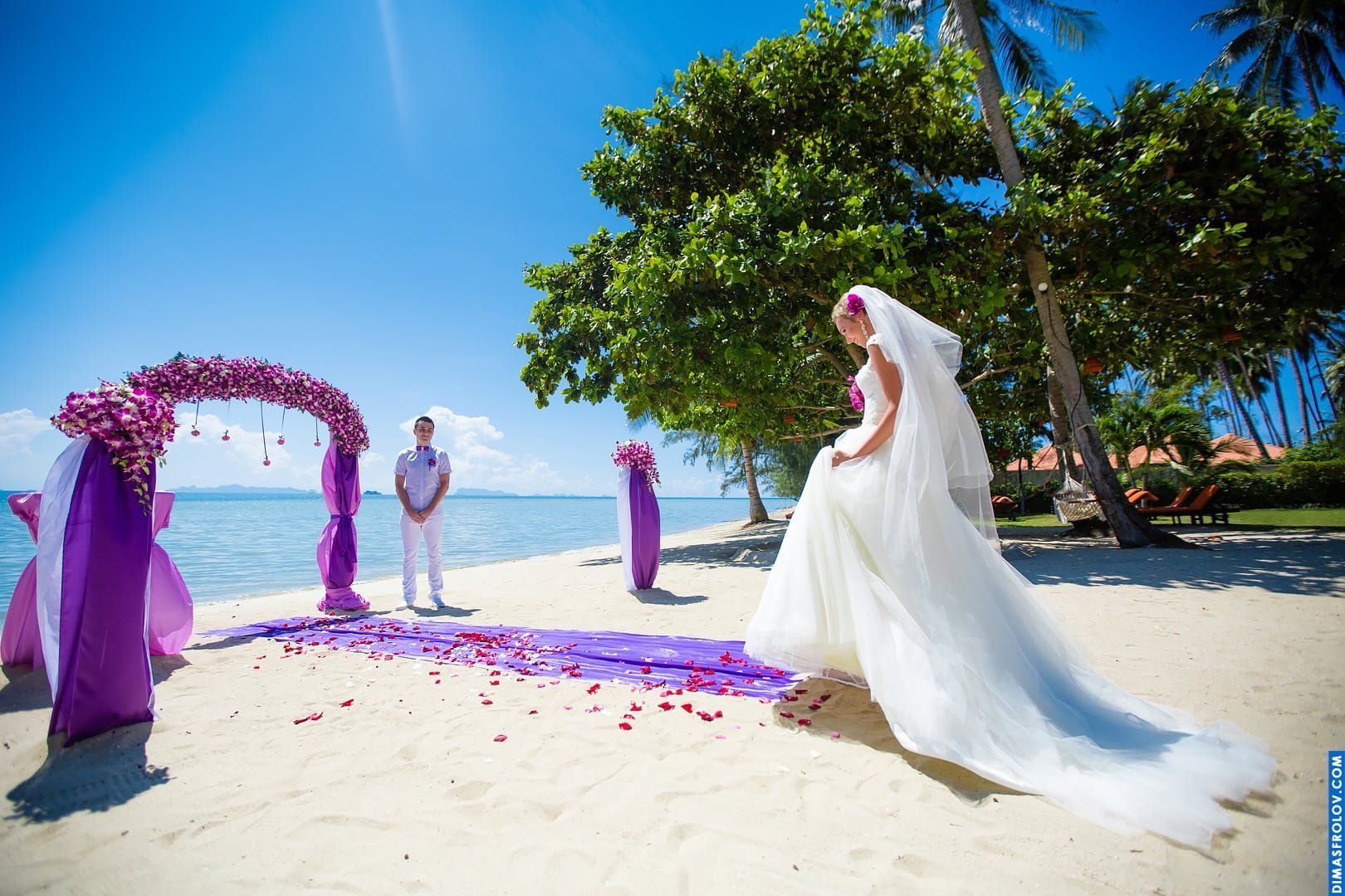 Wedding at Viva Vacation Resort on Samui. Photo 535 (2023-05-04 03:42:49)