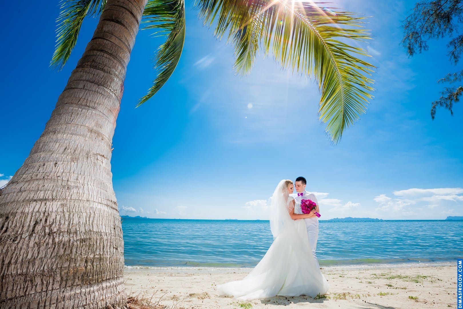 Wedding at Viva Vacation Resort on Samui. Photo 476 (2023-05-04 03:42:48)