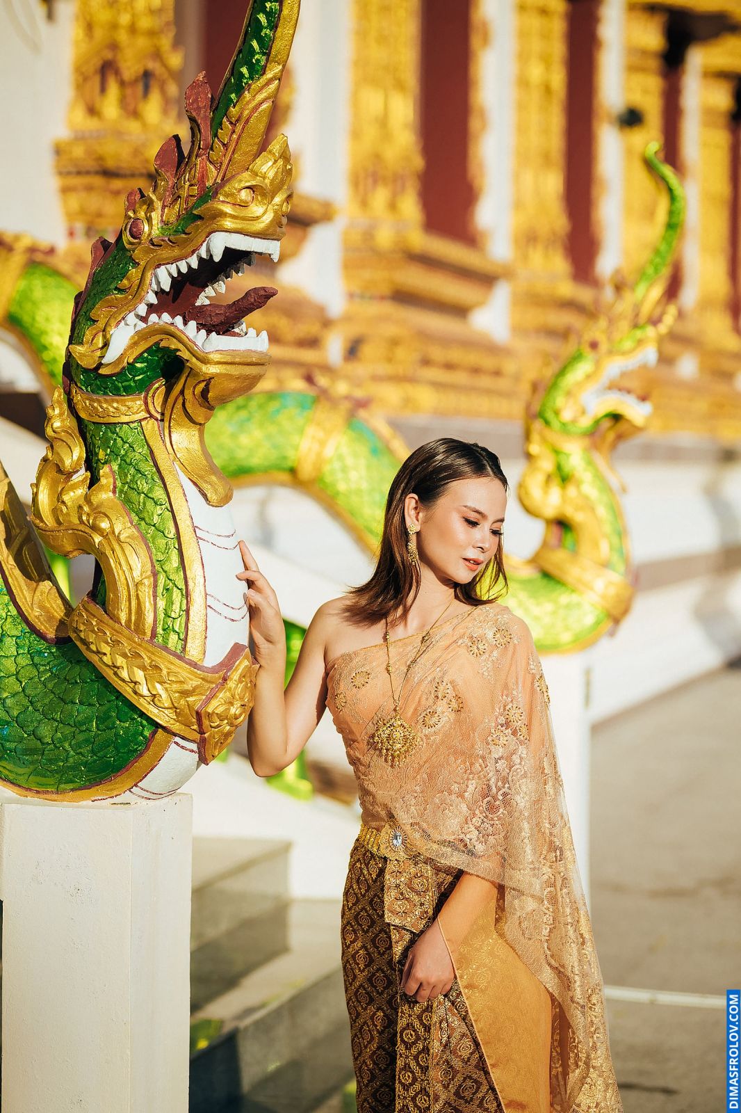 Портретна зйомка Ani Thai Dress. фото 95216 (2023-05-04 04:09:35)