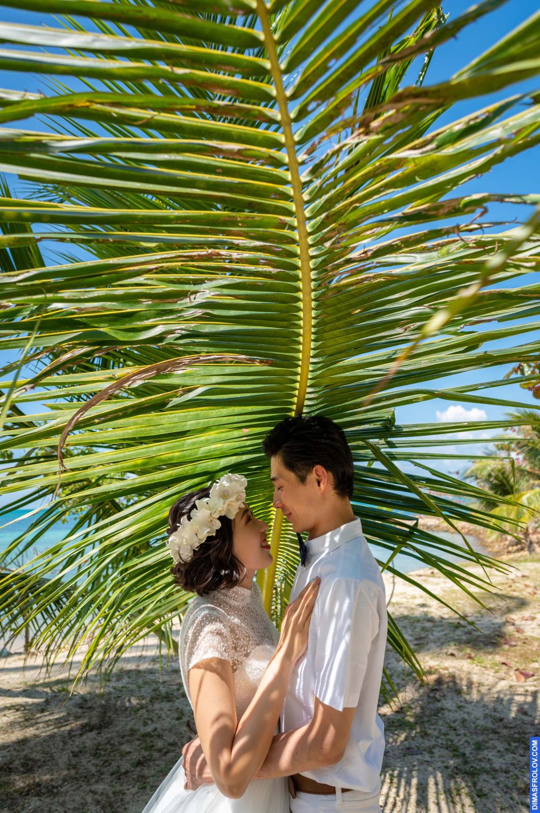Перед-весільна зйомка Юка і Юічі. фото 124947 (2023-05-04 04:18:41)