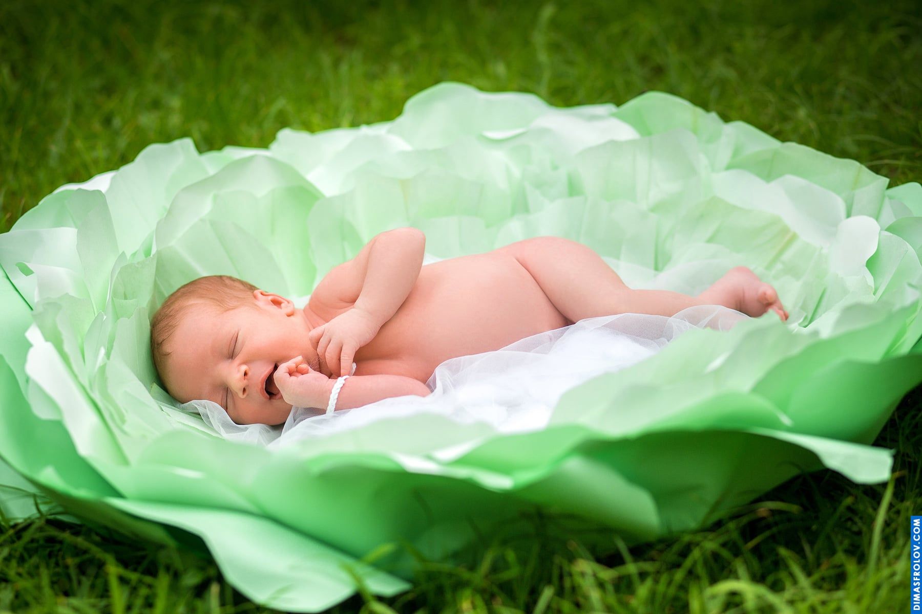 คลอดบุตร, การถ่ายภาพทารกแรกเกิด. photo1 DP7A8221468befa4ef. Dimas Frolov. Koh Samui Photographer. DimasFrolov.com