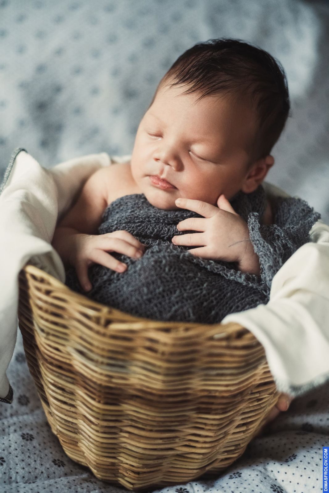 คลอดบุตร, การถ่ายภาพทารกแรกเกิด. photo1 baby-tao-024-2fca961e79. Dimas Frolov. Koh Samui Photographer. DimasFrolov.com