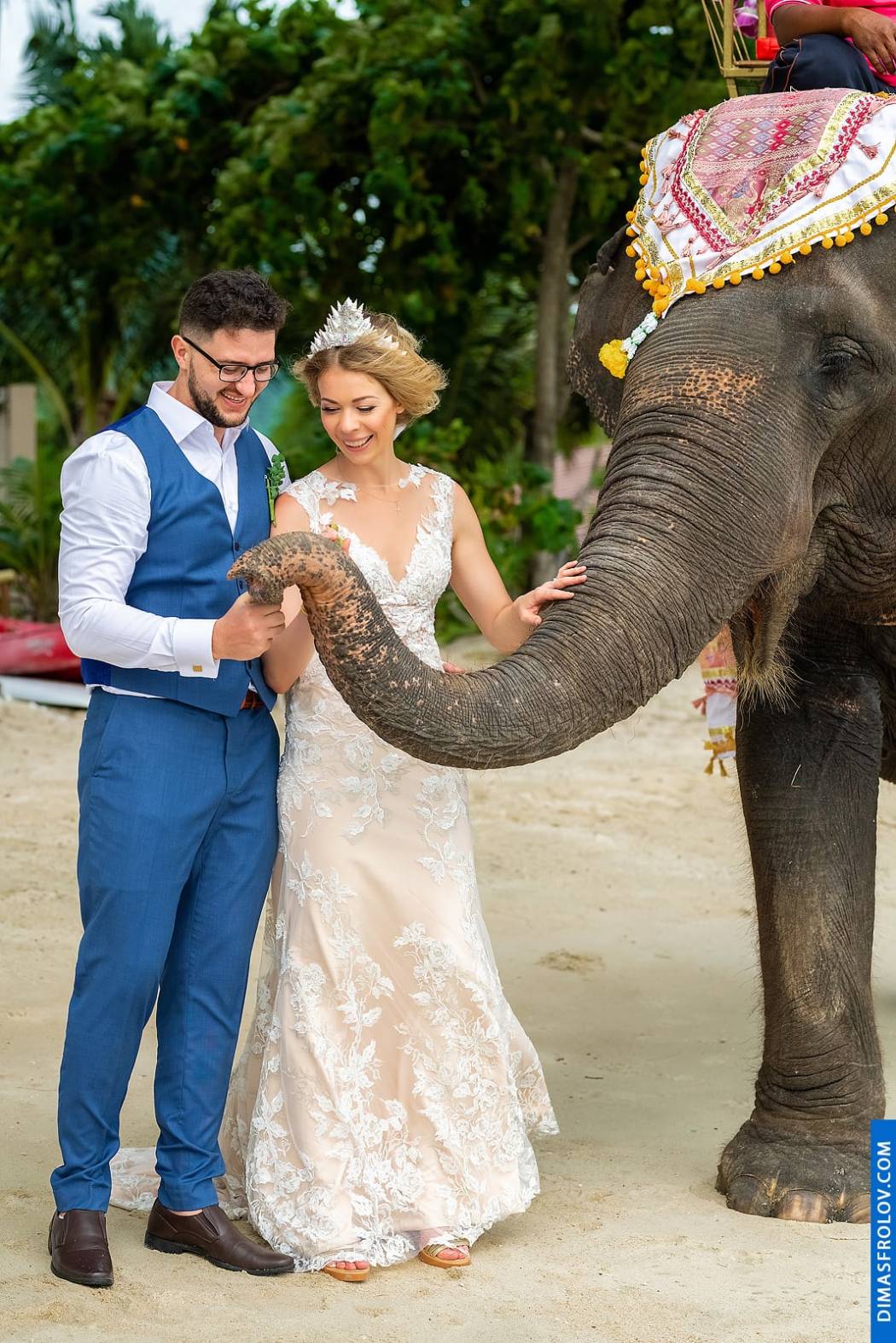 Weddings Irina & Ruslan. photo 52795 (2023-05-03 21:55:40)