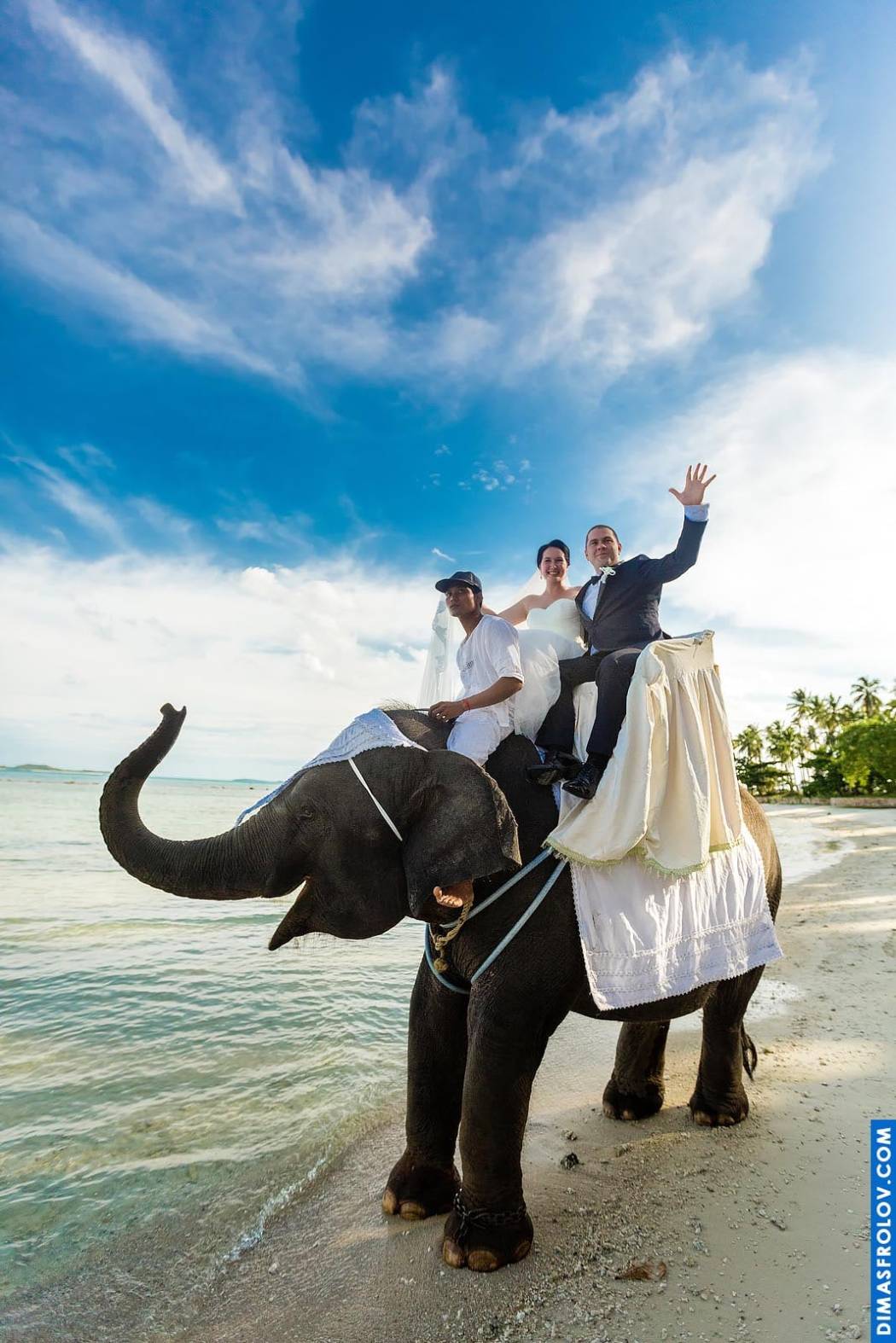 Wedding photography at Villa Kalyana. Photo 57618 (2023-05-03 21:57:03)