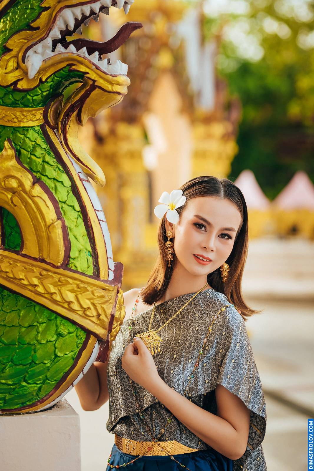 Portrait and individual photography Ani Thai Dress. Creative photo shoot. photo 95189 (2023-05-03 22:09:35)