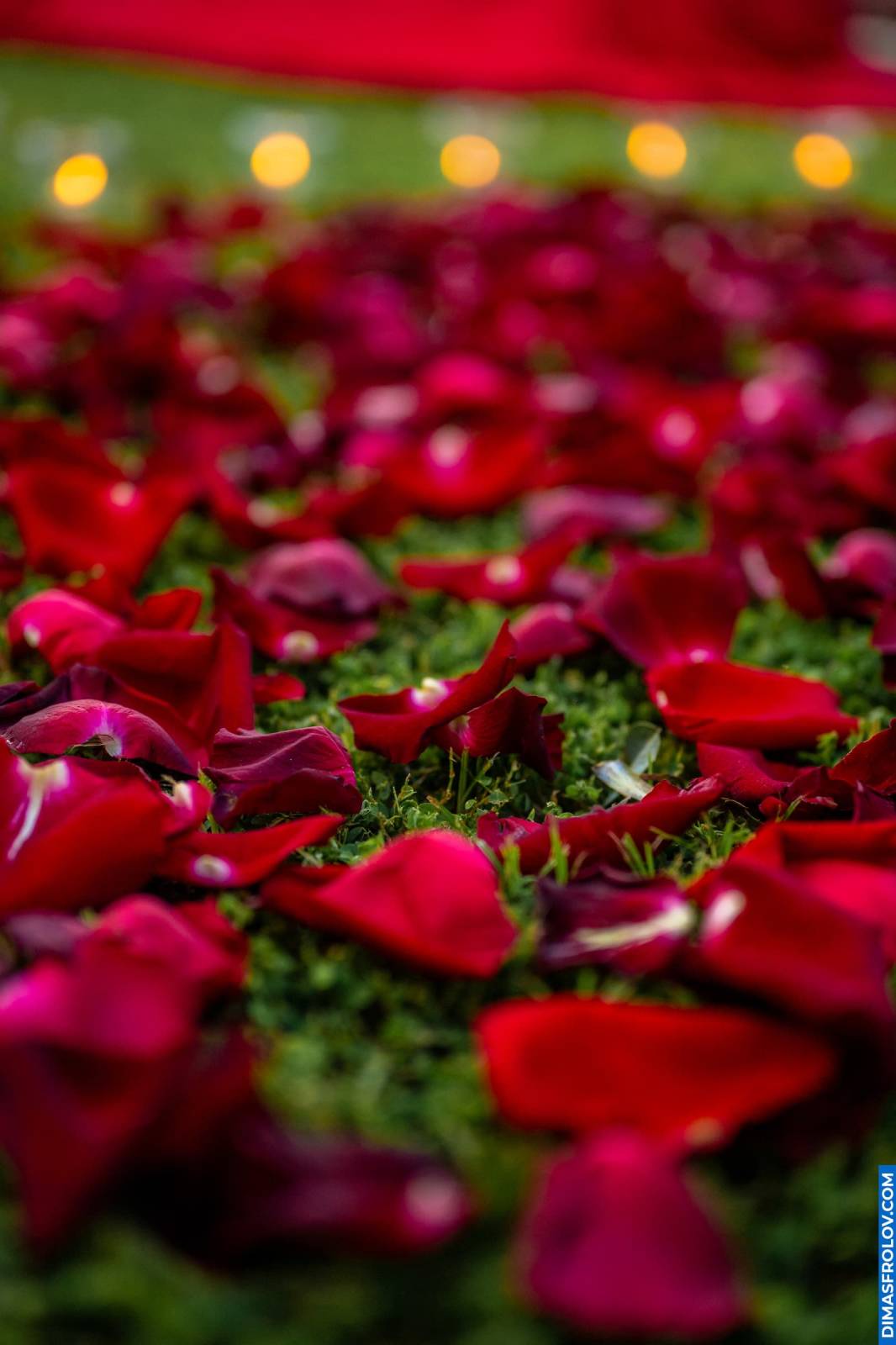 Proposal photo shoots Propose Ashish to Anjali. photo 129403 (2025-06-15 12:49:03)