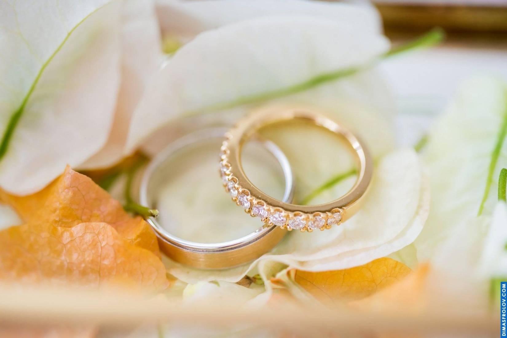 Wedding photography at Samujana Villas. Chris & Maria. Photo 36043 (2023-05-03 21:51:58)