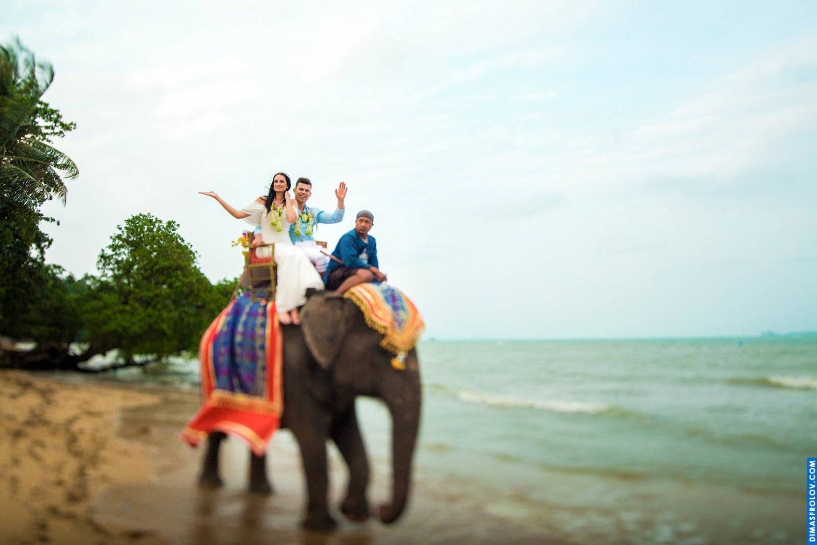 Buddhist Wedding at Zazen Boutique Resort . Photo 3725 (2023-05-03 21:44:32)