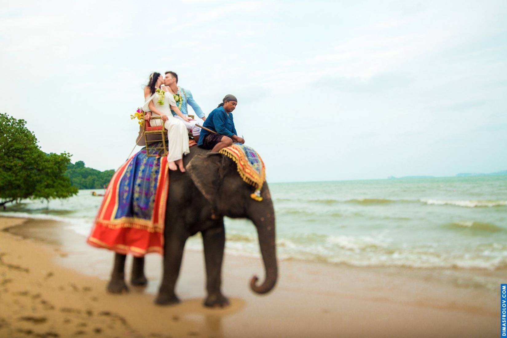 Buddhist Wedding at Zazen Boutique Resort . Photo 3730 (2023-05-03 21:44:32)