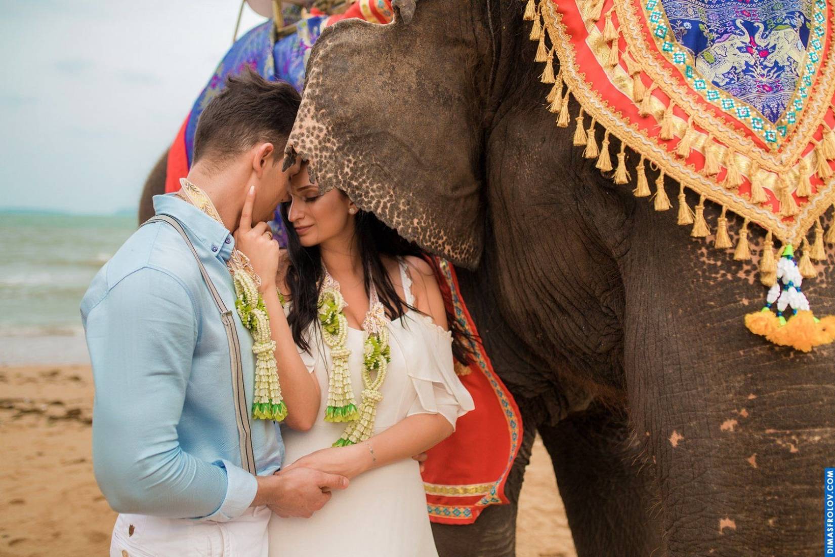 Buddhist Wedding at Zazen Boutique Resort . Photo 3751 (2023-05-03 21:44:33)