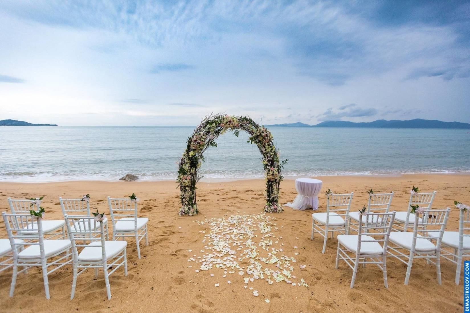 Weddings Aleksandr & Irina. photo 14769 (2023-05-03 21:47:27)