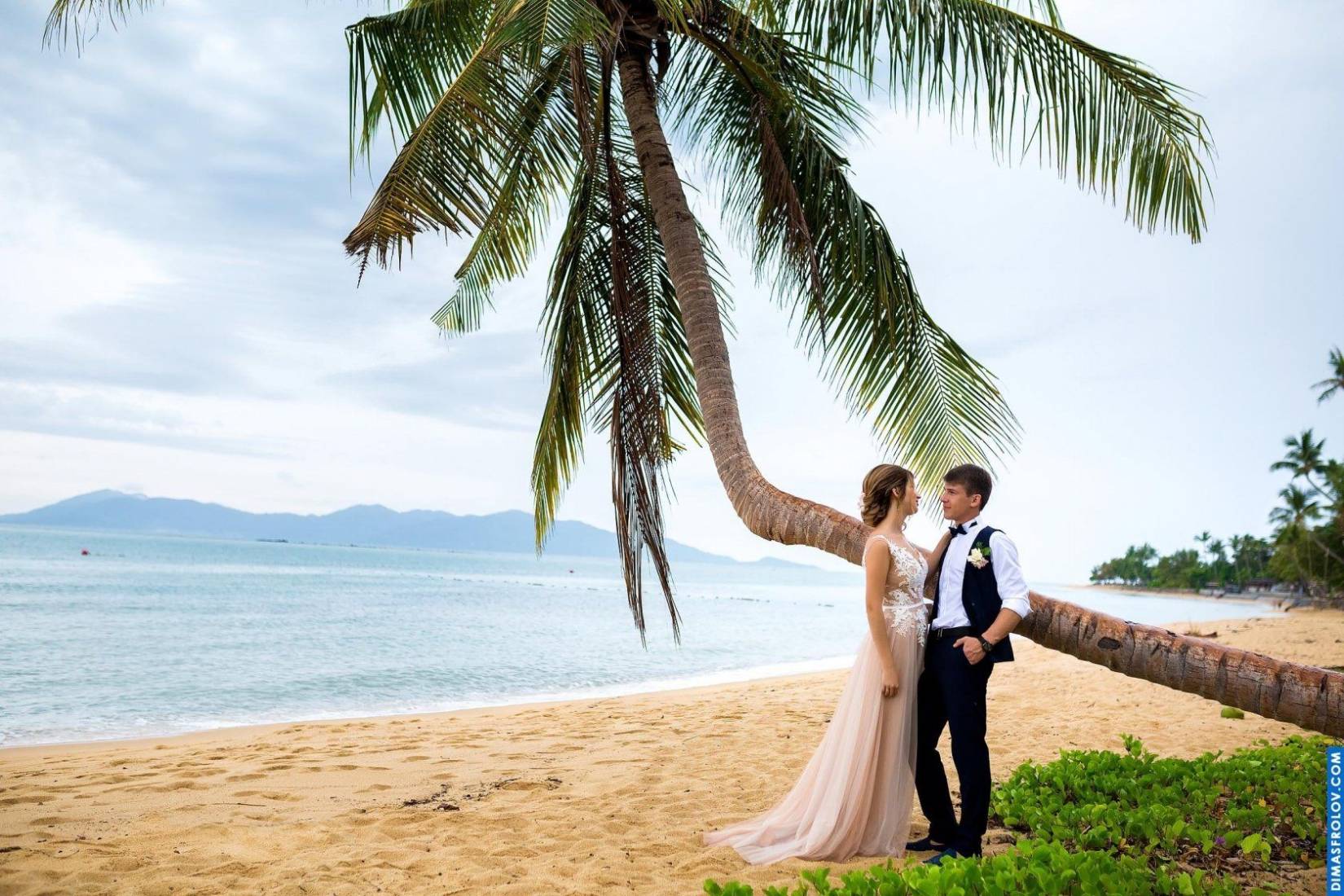 Weddings Aleksandr & Irina. photo 14851 (2023-05-03 21:47:28)