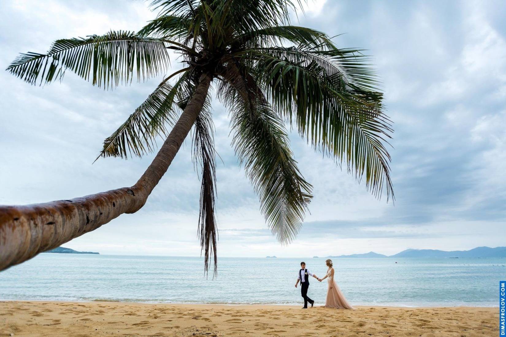 Weddings Aleksandr & Irina. photo 14861 (2023-05-03 21:47:29)