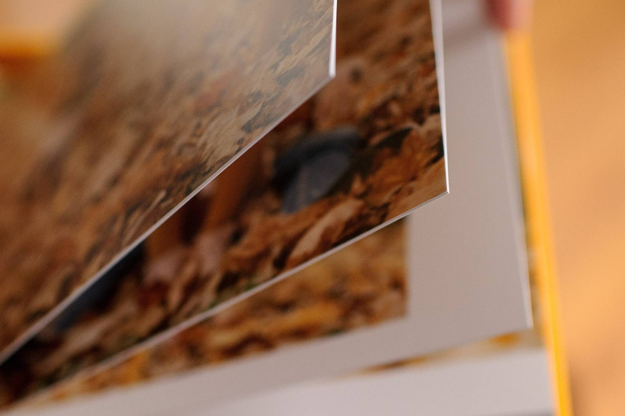 Examples of wedding photo books. Printing & design service. Photo 93366 (2023-05-03 22:08:56)