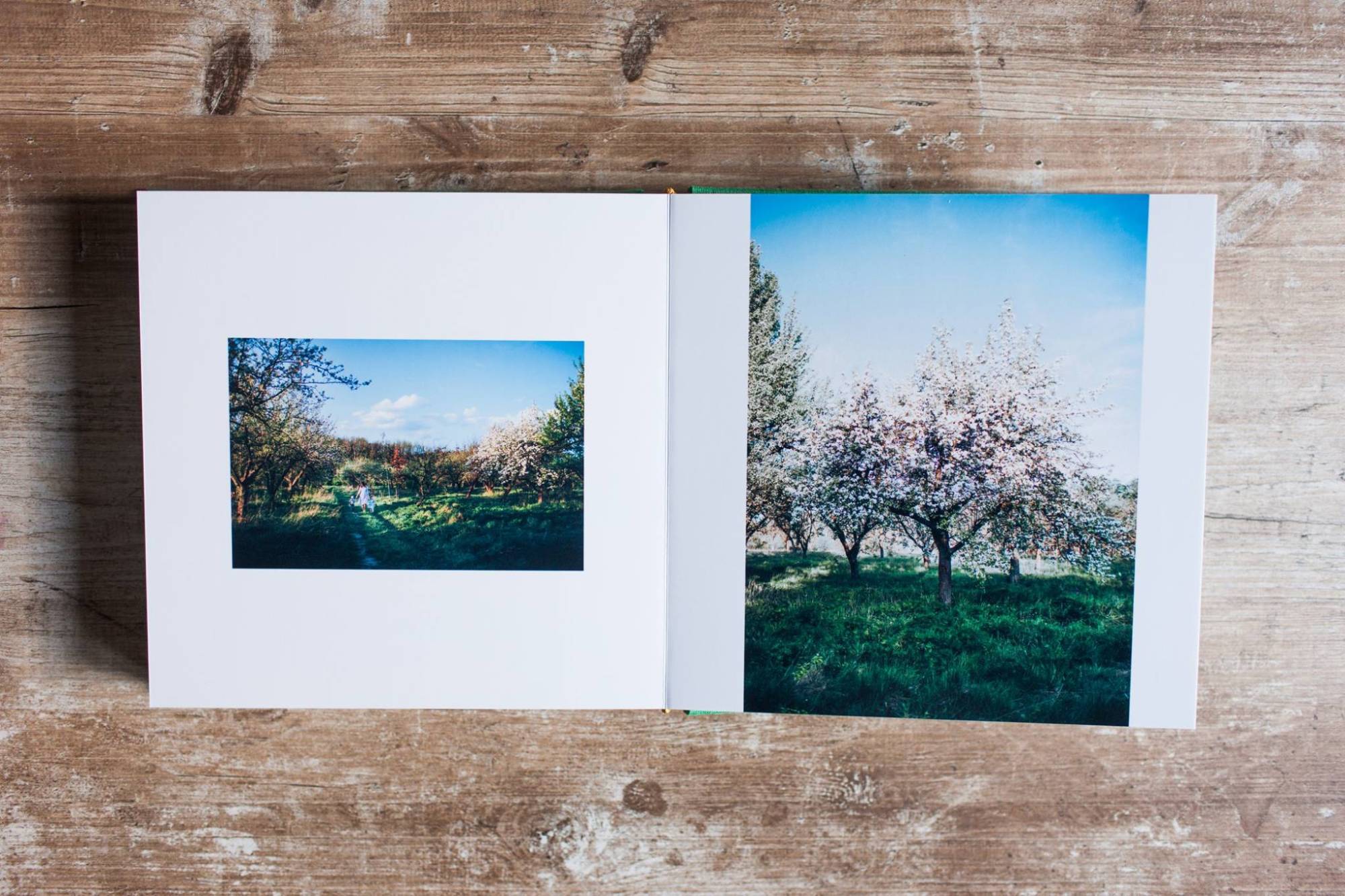 Examples of wedding photo books. Printing & design service. Photo 93352 (2023-05-03 22:08:56)