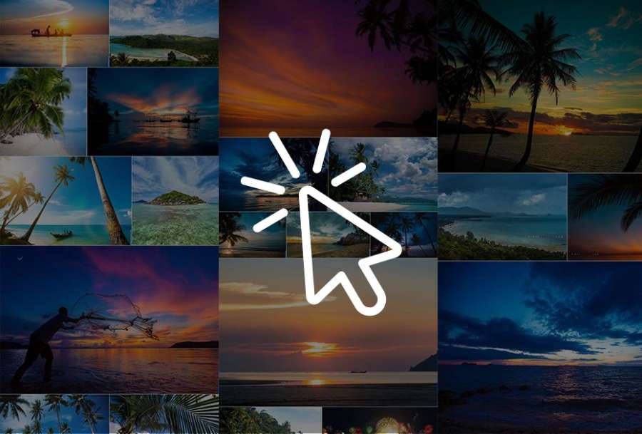 Click to see full portfolio Landscape