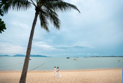 Wedding photo shoots . Photo 76999