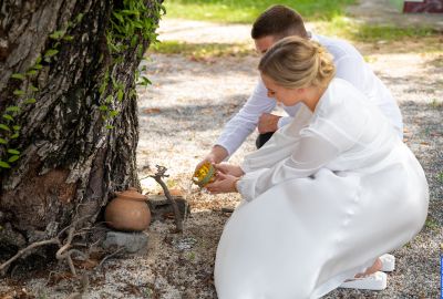 Wedding photo shoots . Photo 114670