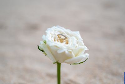 Wedding photo shoots . Photo 114699