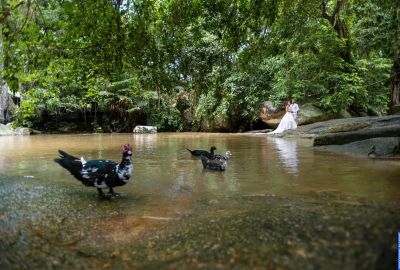 Wedding photo shoots . Photo 116318
